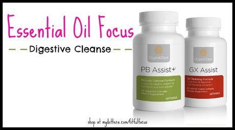 Essential Oil Focus Digestive Cleanse via Fitful Focus #essentialoils #digestive #cleanse #doterra