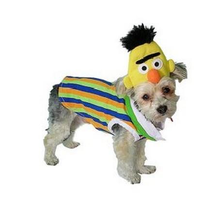 Top 10 Pictures of Dogs Dressed as Muppets