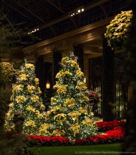 Christmas at Longwood Gardens © 2015 Patty hankins