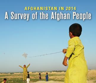 BIGHEADER_AFSurvey2014