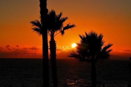 Foto Friday #9 – Sunsets laguna sunset WM