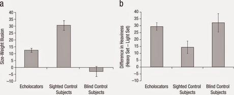 The Size-Weight Illusion Induced Through Human Echolocation