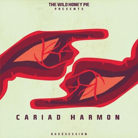 Cariad Harmon art by Andrea Vaduva