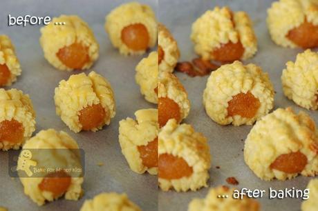 Searching for the Best Nastar Pineapple Rolls / Tarts 凤梨酥 Recipes