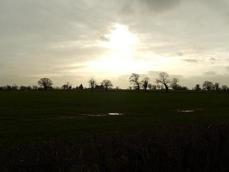 Sun on the Southern Cotswolds