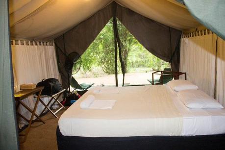 Leopard Trails: A Review of the Yala Camp and Safari My tent at Leopard Trails, near Yala National Park, Sri Lanka.