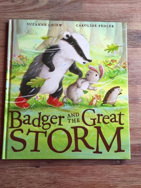 Badger and the Great Storm Book