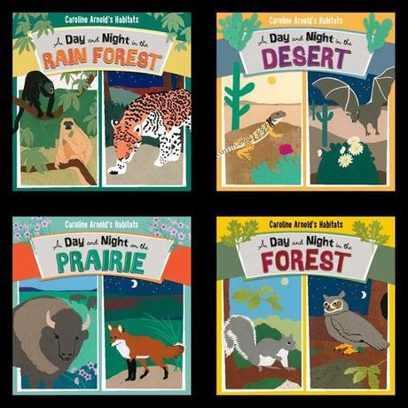 CAROLINE ARNOLD’S HABITATS: A Day and Night in the Rain Forest, Desert, Prairie and Forest--New Series Written and Illustrated by Caroline Arnold