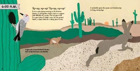CAROLINE ARNOLD’S HABITATS: A Day and Night in the Rain Forest, Desert, Prairie and Forest--New Series Written and Illustrated by Caroline Arnold