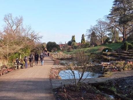 A Winters Trip to Wisley