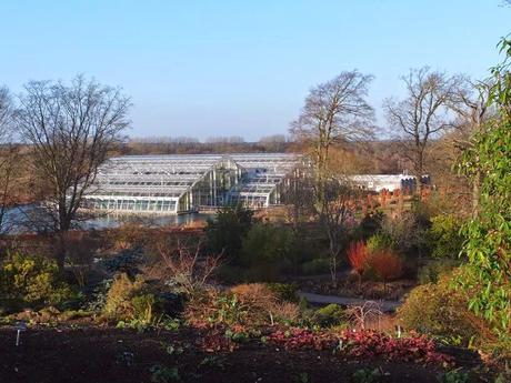 A Winters Trip to Wisley