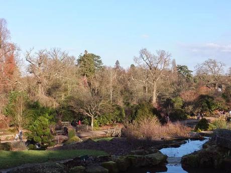 A Winters Trip to Wisley