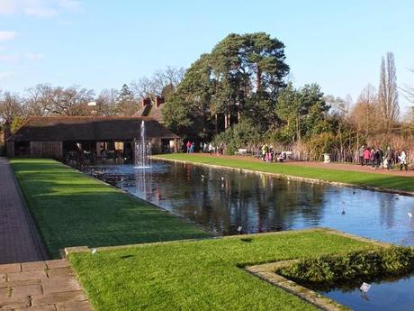 A Winters Trip to Wisley