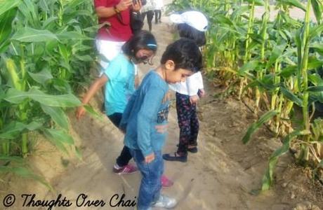Educational Trip To Organic Oasis Farm