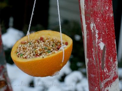 15 DIY Bird Feeders