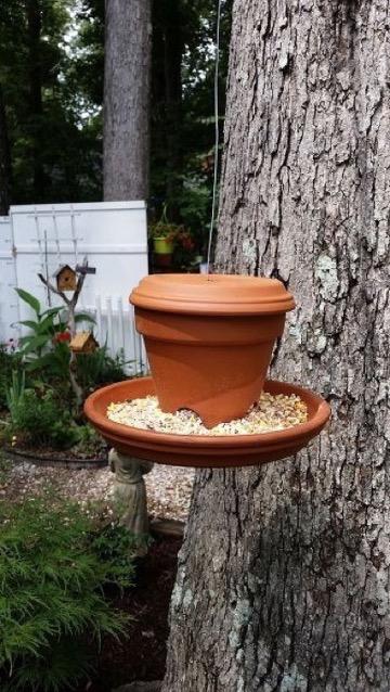 15 DIY Bird Feeders