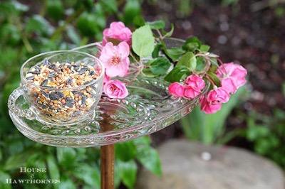 15 DIY Bird Feeders