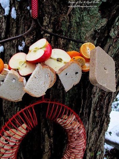 15 DIY Bird Feeders