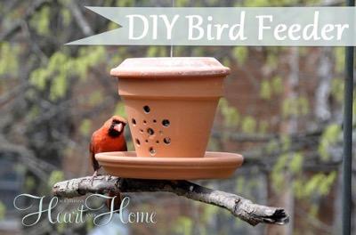 15 DIY Bird Feeders