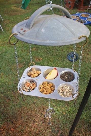 15 DIY Bird Feeders