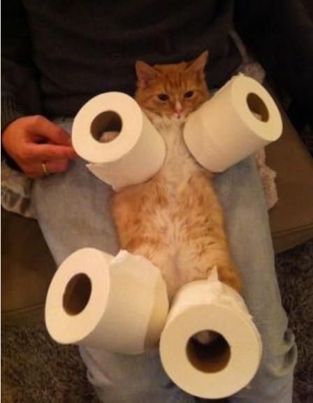 Top 10 Amazing And Unusual Toilet Roll Holders