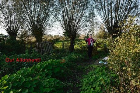 We have got an allotment! :)