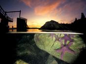 Should Price Nature?