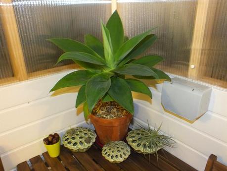 Respite from the Cold Respite from the Cold