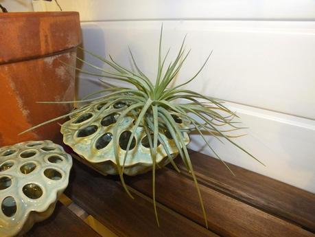 Respite from the Cold Respite from the Cold