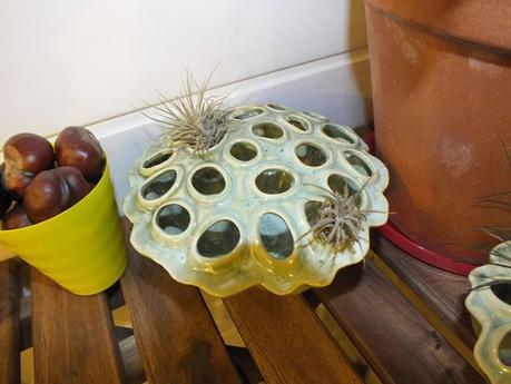 Respite from the Cold Respite from the Cold