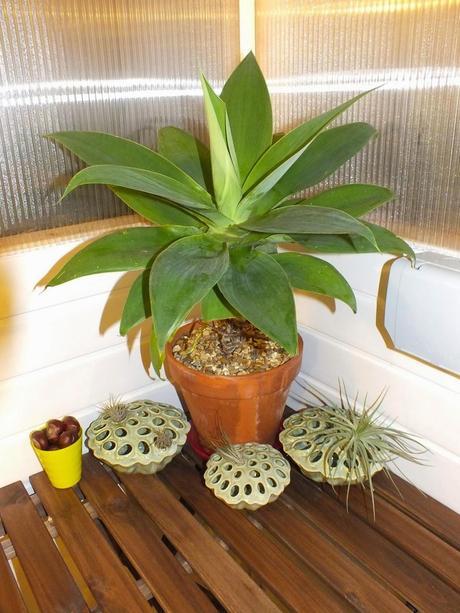 Respite from the Cold Respite from the Cold