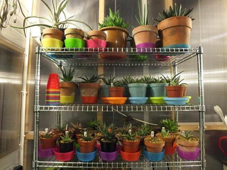 Respite from the Cold Respite from the Cold