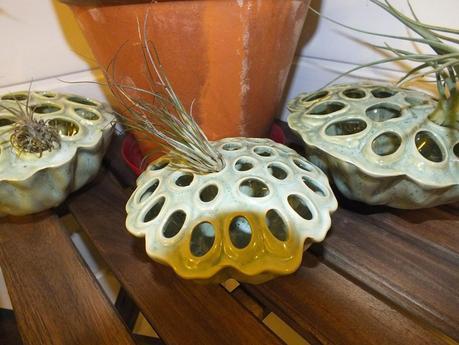 Respite from the Cold Respite from the Cold