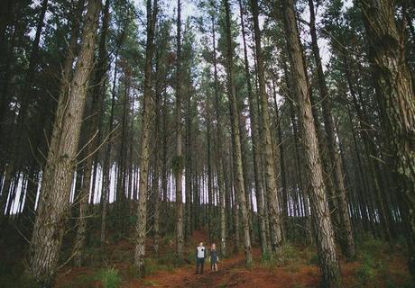 Auckland Engagement Photographer