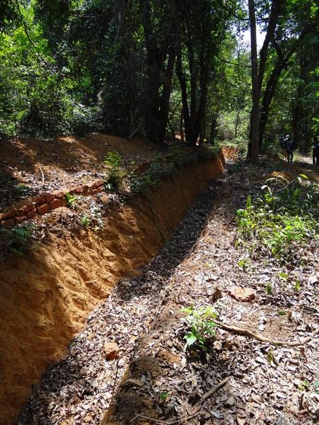 A typical elephant trench