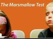 Kids First: Pre-K, Pre-pre-K, Marshmallows, Fish