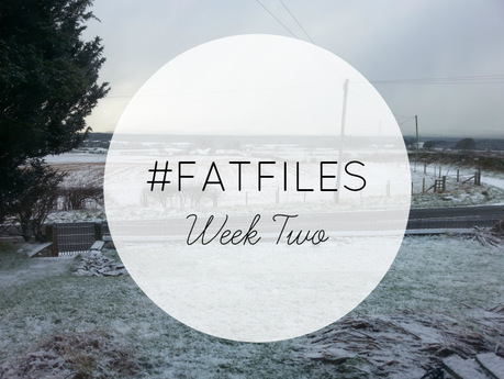 #FATFILES - WEEK TWO