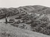 Drought, Fire Management Land Changes Have Denser Forests California