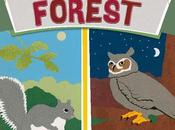 BOOK: NIGHT FOREST, Written Illustrated Caroline Arnold