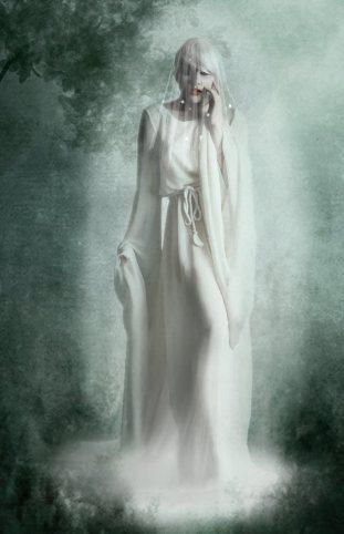 The Ghost Bride by Dienel96 (2011)