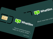 WhatSim: Much More Than