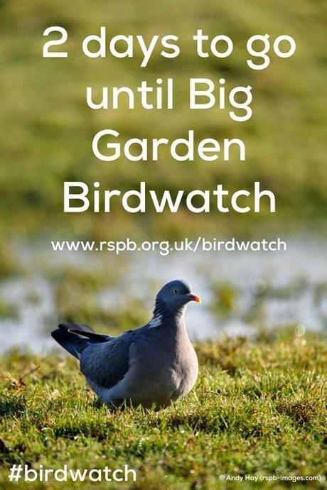 Big Garden Birdwatch Weekend 24th 25th January, I will be joining in!
