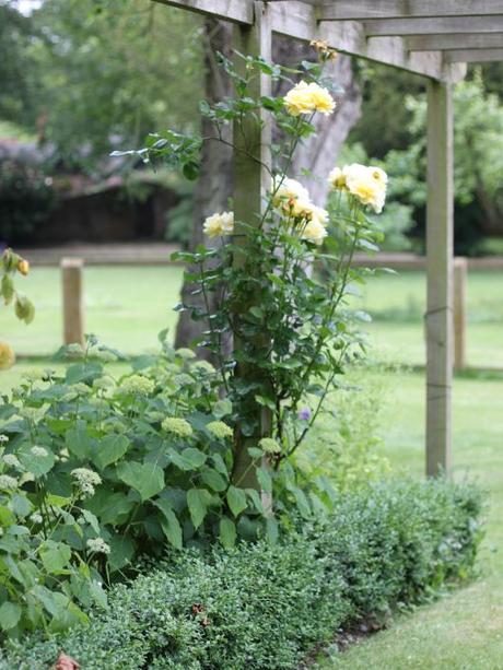 Garden-Topiary