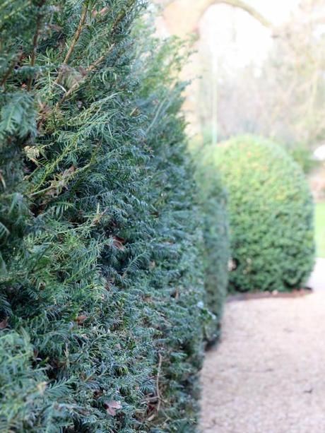 Garden-Topiary