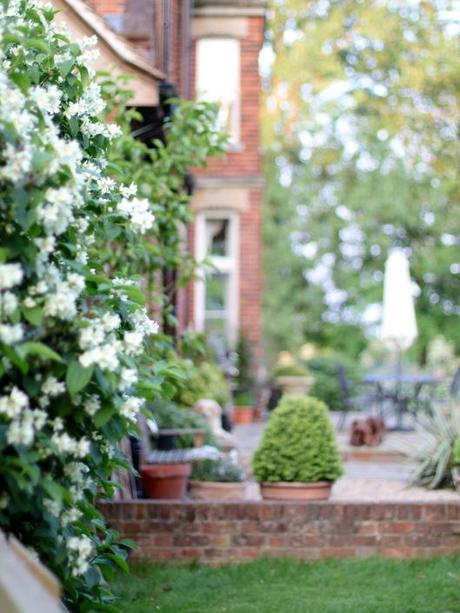 Garden-Topiary