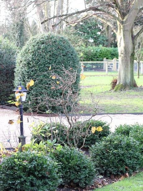 Garden-Topiary