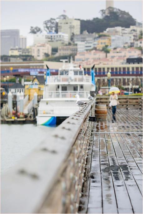 San Francisco Photography - Pier 39