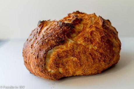 Dutch Oven Cheddar Cheese Bread