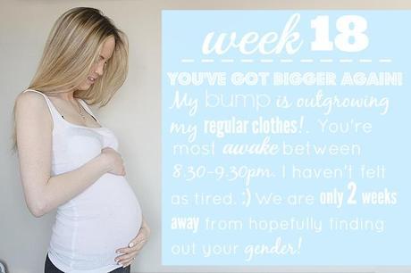18 weeks pregnant, 