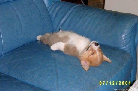 8 Mind and soul cleanser